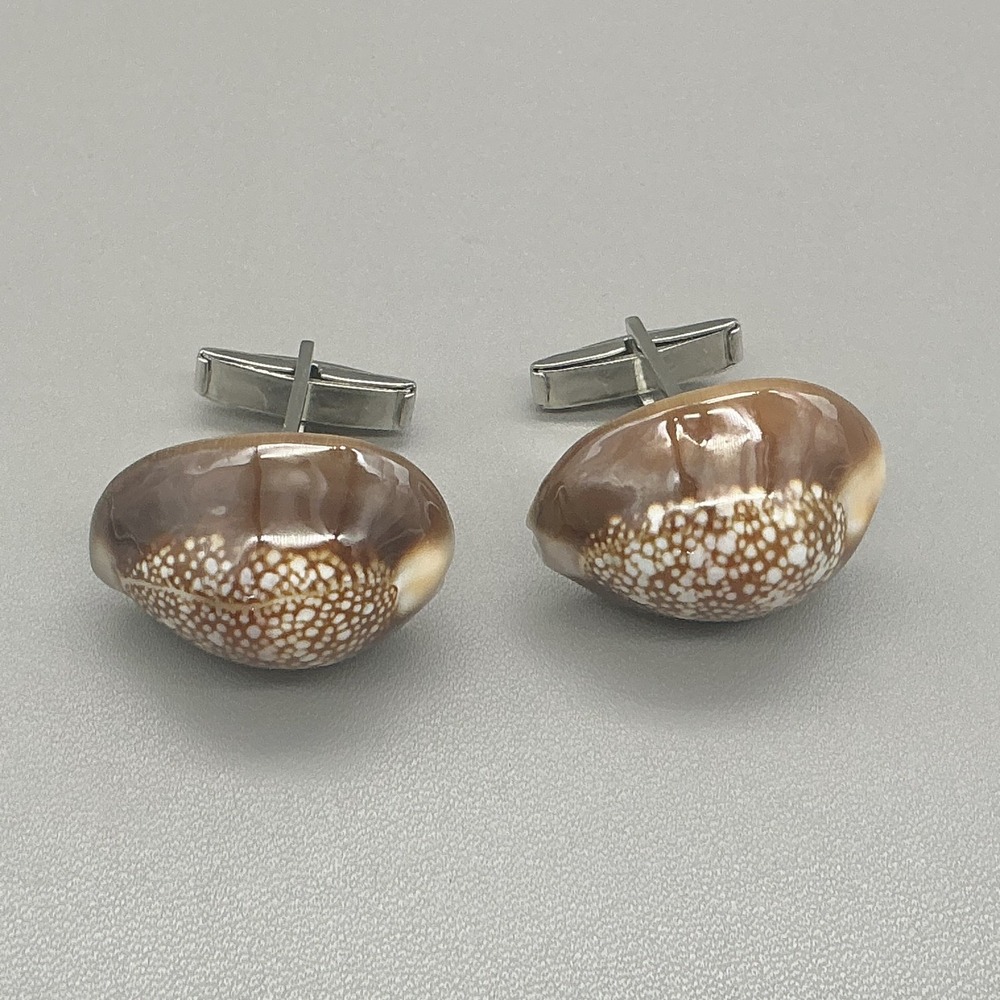 Cowrie Shell Cufflinks Men's Natural Seashell‎ Brown White Silver Tone Coastal
